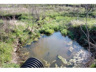 Property photo 15 - REAL ESTATE AUCTION - 486+/- ACRES OFFERED IN 9 TRACTS IN MORGAN & MARION COUNTIES, INDIANA